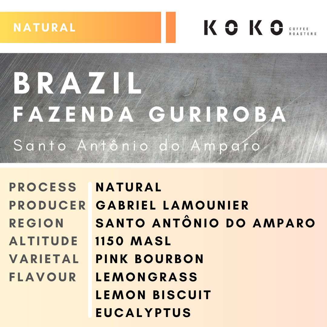 Brazil Fazenda Guriroba Pink Bourbon (Natural)200g