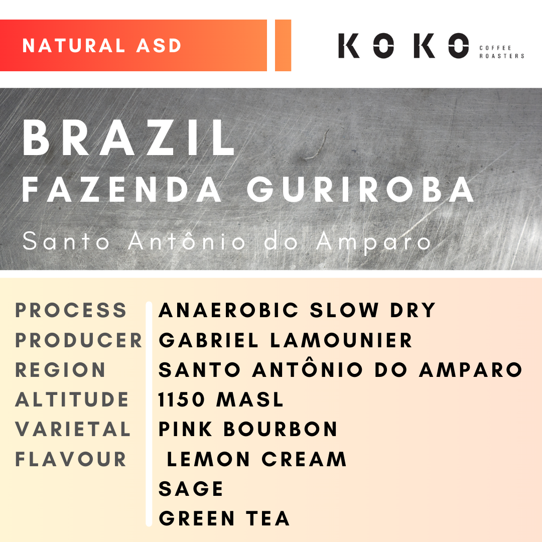 Brazil Fazenda Guriroba Yellow Catuai (Natural ASD) 200g