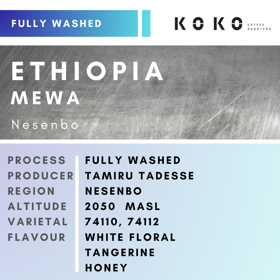 Ethiopia Mewa (Fully Washed) 200g