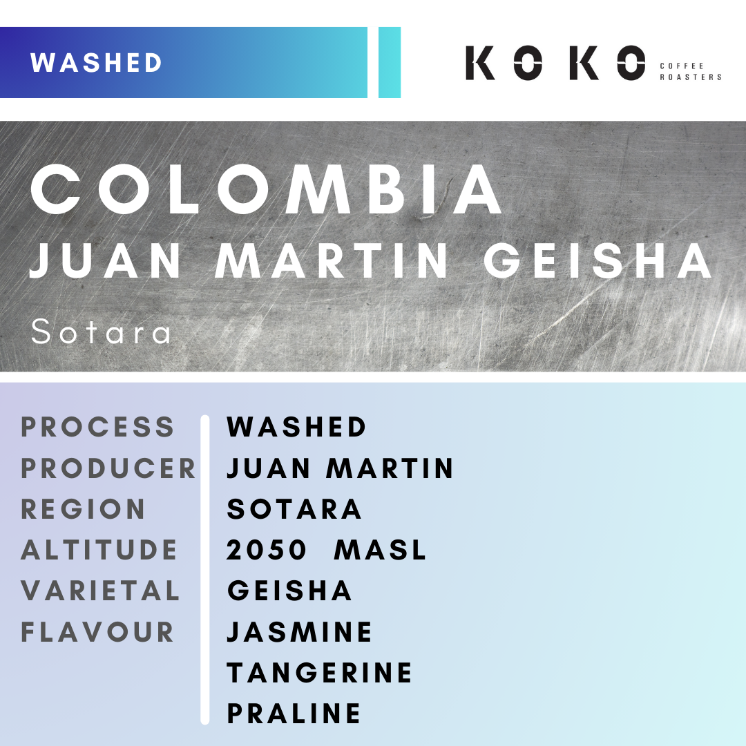 Colombia Juan Martin Geisha (Washed) 200g