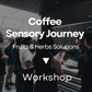 Coffee Sensory Journey - Fruits & Herbs Solutions(Workshop)